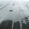 glasdetail